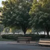 Atac cu cuțit în parcul din Aschaffenburg: Agresorul declarat iresponsabil penal de experți