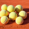 Mats Wilander îl sprijină pe Alexander Zverev în disputa privind calitatea mingilor de tenis