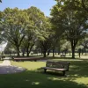 Cuplu din Germania a furat un televizor uriaș și s-a relaxat cu el în parc