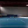 Gigantul Handbalului Mathias Gidsel: 15 goluri, record în Bundesliga și secretul succesului pe ergometru