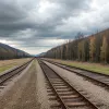Capre pe șine: O turmă a blocat circulația trenurilor în Germania