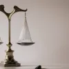 Franța a făcut un pas spre legalizarea eutanasiei: Proiectul de lege adoptat de Adunarea Națională