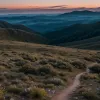 Mamă și ultramaratonistă: A câștigat o cursă de 100 km, alăptându-și bebelușul pe traseu