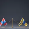Germania plănuiește interzicerea armelor pentru infractori: o nouă lege vizând creșterea violenței