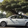 Copac uriaș putred a căzut peste un Audi în mers la Düsseldorf: Șoferul de 22 de ani, grav rănit