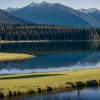 Un pescar dispărut a fost găsit mort într-un lac din Germania