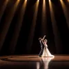 Let's Dance Germania 2025: Provocarea Profesioniștilor – Totul despre reguli, participanți și difuzare