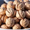 Nucile la micul dejun: cum «superalimentul» stimulează funcția creierului