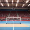 Bundesliga Germană de Handbal: Meciuri Cruciale pentru SC Magdeburg și THW Kiel în Lupta pentru Vârf și Cupele Europene