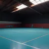 Club de handbal din Leipzig, lăsat fără sală de antrenament din cauza "absurdului autorităților": lipsă de personal