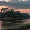 Crimă oribilă în Brazilia: Un bărbat și-a ucis fosta iubită și i-a aruncat trupul într-un râu plin de piraña