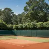 Grigor Dimitrov, record negativ la Grand Slam-uri: Patru retrageri consecutive din cauza accidentărilor