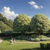 Recolta "în afara sezonului": Meghan Markle, ținta batjocurii după ce a cules porumb și broccoli