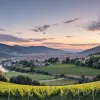 Festivalul Pinot and Rock 2025 în Germania: Muzică, vin și concurs de bilete la Breisach