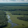 Aeroportul-fantomă din Florida: Cum cel mai mare proiect din lume a devenit cămin pentru crocodili