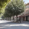 Dresda: Poliția caută un bărbat acuzat de agresiune sexuală asupra unei fete de 11 ani