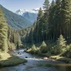 Starul YouTube cu 15 milioane de abonați se retrage din cauza prea multă faimă: Luke Nichols de la "Outdoor Boys" a anunțat decizia