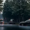 Şoferul unui BMW a adormit la volan în Germania şi s-a răsturnat