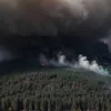 Incendiu forestier lângă Quittelsdorf, Germania: Circulația pe drumul federal blocată