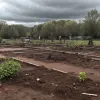 Vandalism în Germania: O stație de hrănire pentru pisici fără stăpân, distrusă în Niederorschel