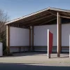 Alegeri regionale în Germania: Candidații AfD avansează în turul doi în Mecklenburg-Vorpommern