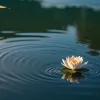 Tragedie în lumea online: Fiul influenceriței Emilie Kiser s-a înecat în piscină