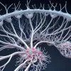 Studiu nou: Cercetătorii au descoperit un factor de risc pentru simptomele timpurii ale bolii Parkinson