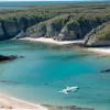 Algele Toxice Provoacă Moartea în Masă a Viețuitoarelor Marine pe Coasta de Sud a Australiei