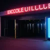 Bărbat beat a atacat poliția în fața unei discoteci din Kaiserslautern, Germania