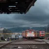 Ciclist Ucis de Tren la o Trecere de Cale Ferată în Hennef, Germania