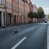 Germania: Șofer de scuter fugar, urmărit de poliție, a lovit un copil de 2 ani