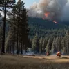 Intervenție rapidă: Pompierii au stins un incendiu forestier de 200 mp lângă Oppershausen
