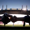 Hannover 96, aproape de un atacant olandez? Youssef El Kachati confirmă oferta și laudă clubul