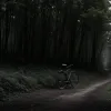 Film True Crime Șocant: "Fără Urmă" - Cazul Nathalie B., Răpită după un Accident în Germania