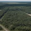 Germania desfășoară o brigadă în Lituania: Consolidarea Flancului Estic al NATO pe fondul tensiunilor cu Rusia