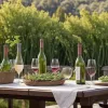 Vinuri de primăvară: Alegeri perfecte cu sparanghelul și pentru seri relaxante pe terasă