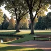 Gotha, Germania: Adolescenți au atacat un bărbat în parc și i-au furat geaca