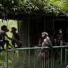Scandal la o grădină zoologică din Cehia: Vizitatori au maltratat maimuțele și le-au hrănit ignorând regulile