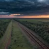 Berlineri călători clandestini pe tren: Au oprit traficul feroviar la granița cu Cehia și riscă amenzi uriașe