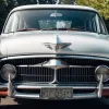 Pescaruș blocat în grila mașinii: Șoferul a vrut să-l salveze, dar pasărea l-a mușcat