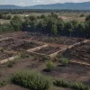 Incendiu puternic în Froschhausen: Cinci parcele de grădină, distruse de flăcări