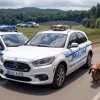 Un român prins la granița Germaniei cu Cehia cu șapte căței de teckel de contrabandă