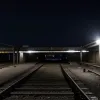 Femeie arestată în Griesheim (Germania) pentru scandarea de sloganuri naziste