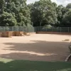 O îngrijitoare de la zoo din Germania, atacată de un tigru în timpul curățeniei