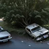 Accident tragic în Germania: Șofer de 46 de ani a murit după ce a intrat cu mașina într-un copac la Seevetal