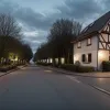 Agent imobiliar înjunghiat mortal în Germania de prietenul său, care urma să fie internat la psihiatrie