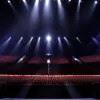 Comentatorul legendar Eurovision Peter Urban a căzut grav și anulează participarea la show-ul lui Stefan Raab