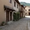 Germania: Un sat din Turingia trăiește în frică din cauza unui bărbat cu ukulele, poliția e neputincioasă