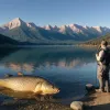 Pescuit de record în Ungaria: Crap uriaș de 47,8 kg prins, dar nu este recunoscut oficial