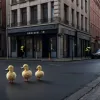 Poliția din Kiel a salvat pui de rață în două operațiuni distincte